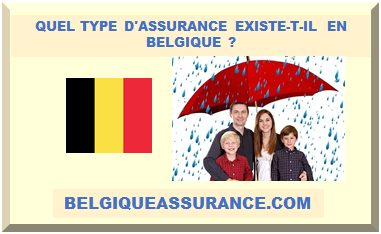 QUEL TYPE D'ASSURANCE EXISTE-T-IL EN BELGIQUE ?